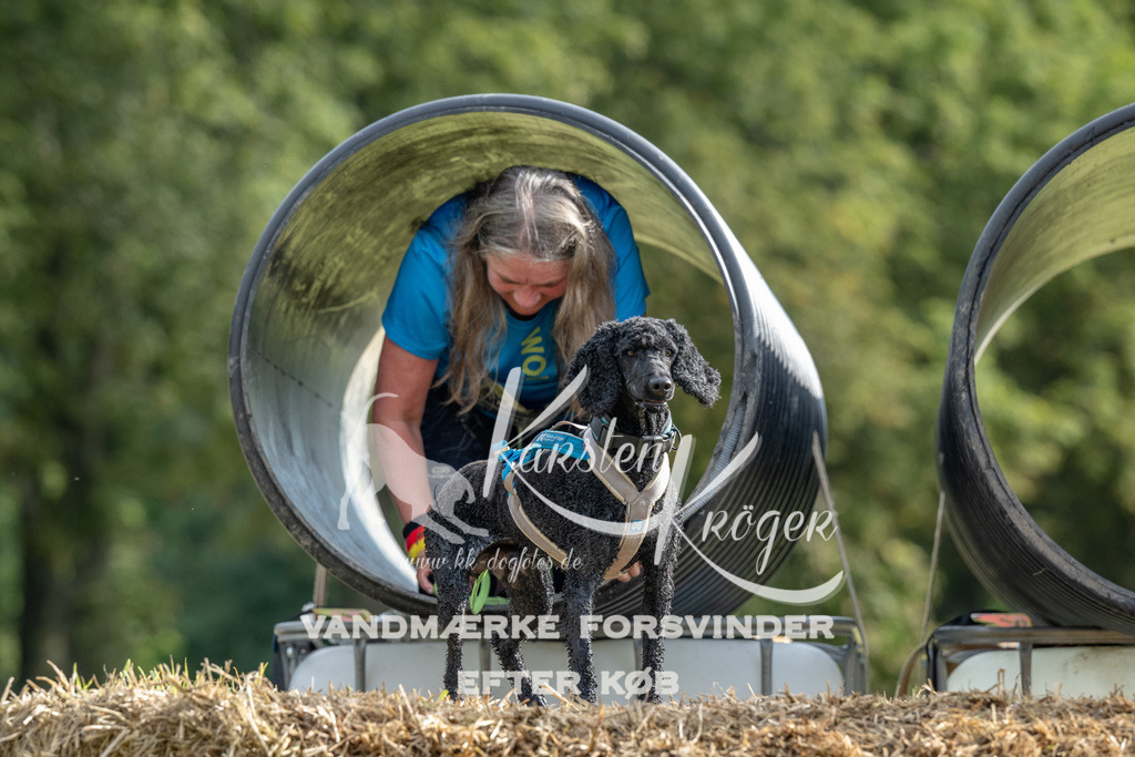 0944_ZZ91001 | kk-dogfotos