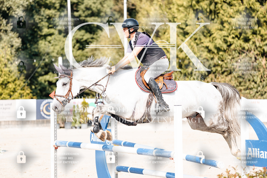 CK902554 | Turnierfotografie Pferdefotografie Trier Rheinland-Pfalz Pferdesport Reitsport Tierfotografie Sportfotografie Pferdevideo Pferdevideografie Equestrianvideography equestrianphotography  - Realisiert mit Pictrs.com