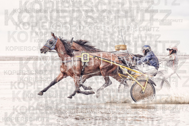 Duhner Wattrennen 22_MCH2326_Marina Hewig 1 1 | Fotografie, FotoArt, PferdesportArt, Pferdesportfotografie, Landschaftsfotografie, Reisefotografie, Reise, Pferde - Realisiert mit Pictrs.com