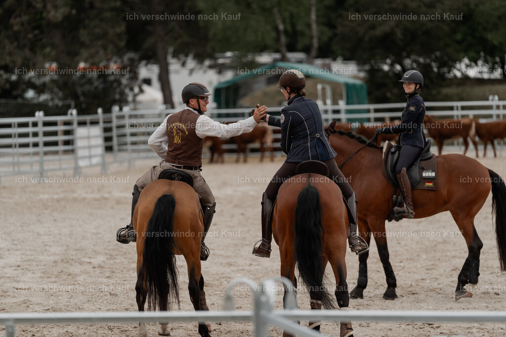 WE__Stoib_Rinder_PI2025_3042 | Pferd International München 2025