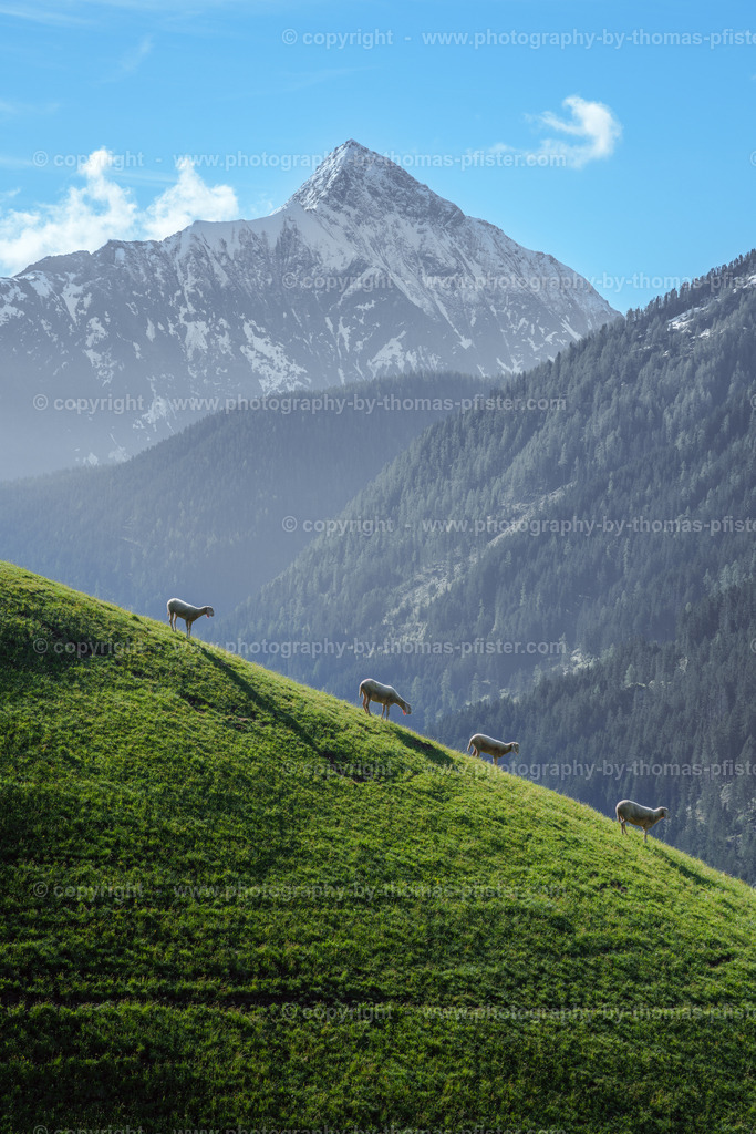 Tux Frühling copyright  Thomas Pfister-9 | PHOTOGRAPHY BY THOMAS PFISTER