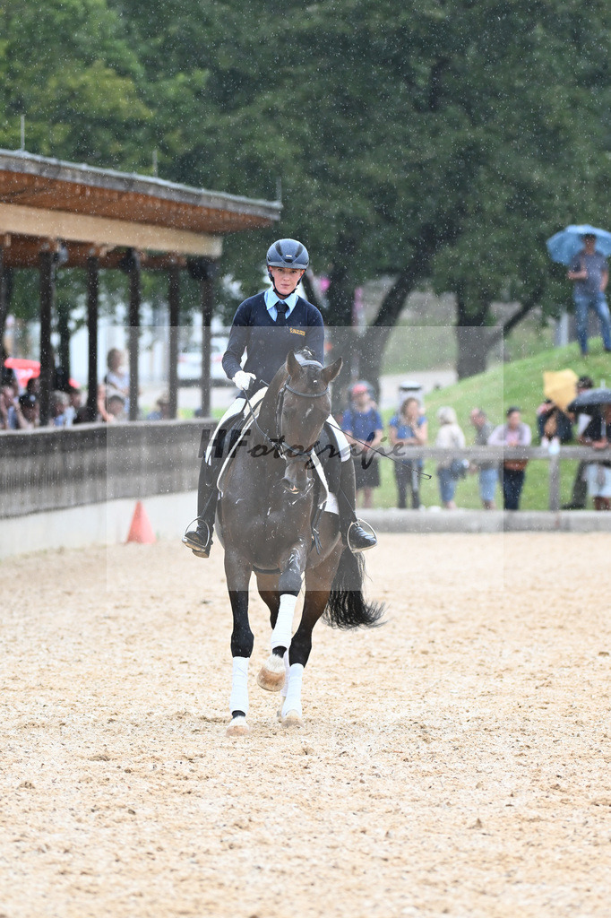 Sparten des Reitsports aus der eigenen Zucht_36240934 | hf-fotografie - Realisiert mit Pictrs.com