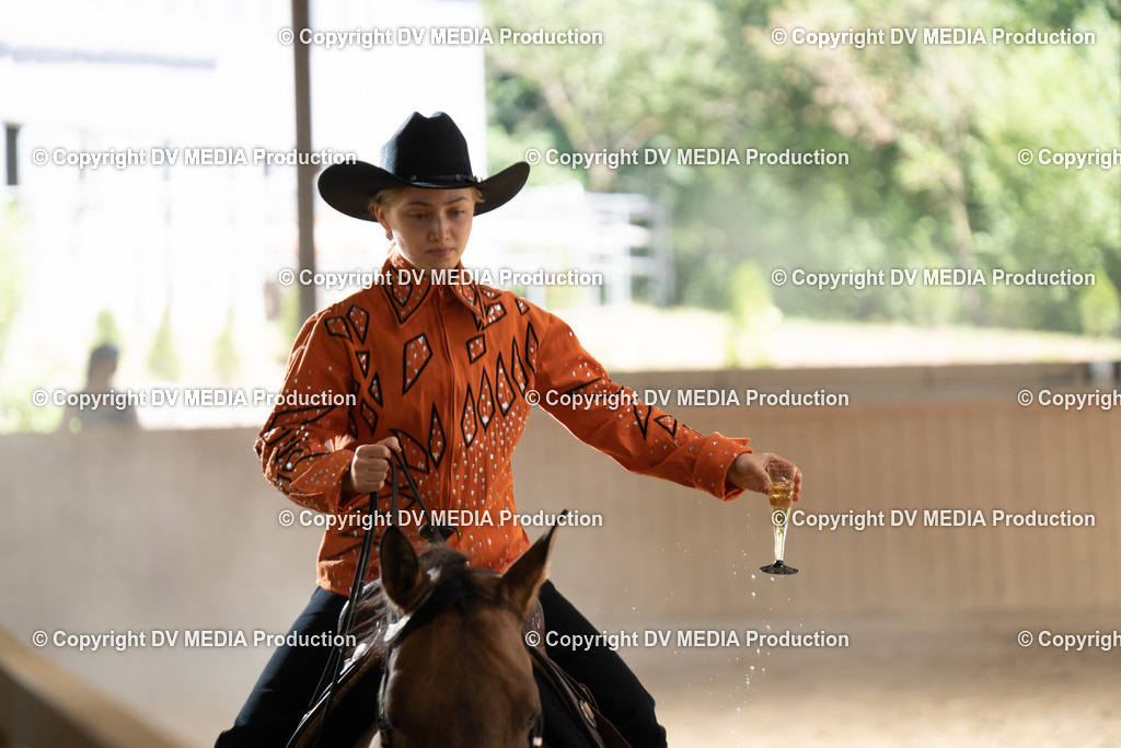 DSC00111 | dv-media-shop - Realisiert mit Pictrs.com