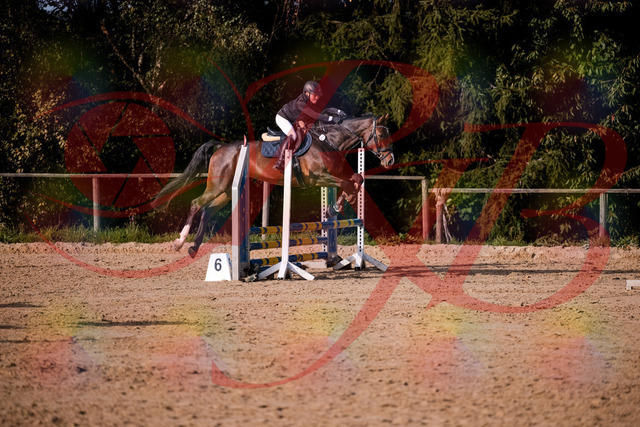 2026_10_03_Siefer-Hof_160007_Z81_80592125 | Professionelle Reitsport-, Turnier- und Eventfotografie von Robert Broda. Galerien mit ausgewählten und bearbeiteten Bildern direkt online ansehen und bestellen.