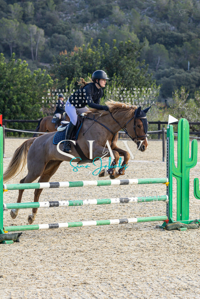 IMG_5122 | s-jay-photography - Realisiert mit Pictrs.com