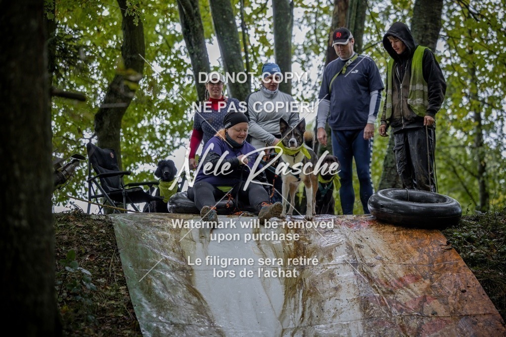 nelerasche_Hunsrück_Sa1430-1500_156-final | nelerasche