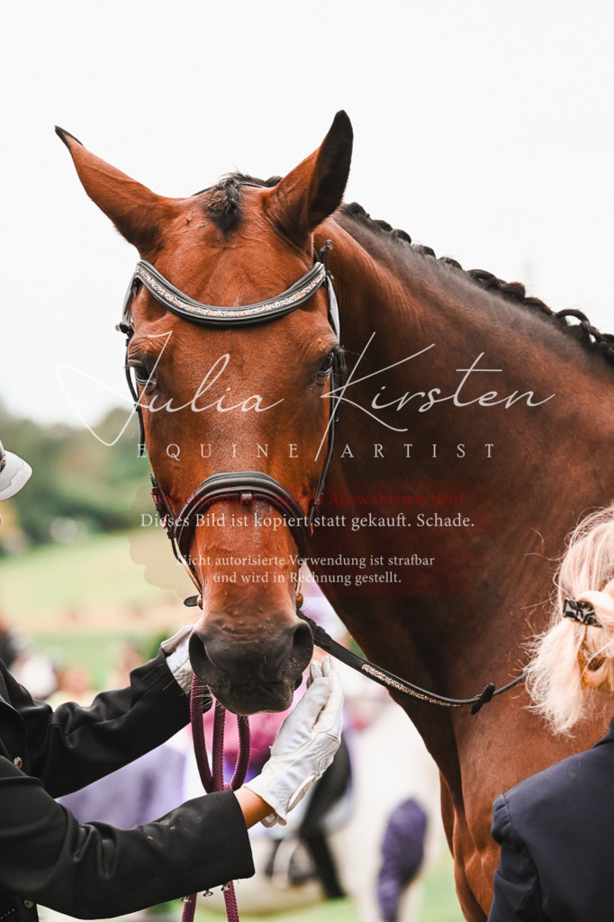 DSC_7463 | Pferde- und Turnierfotografie in Westsachsen. Pferdeportraits, Auftragszeichnungen und intuitive Kunst.