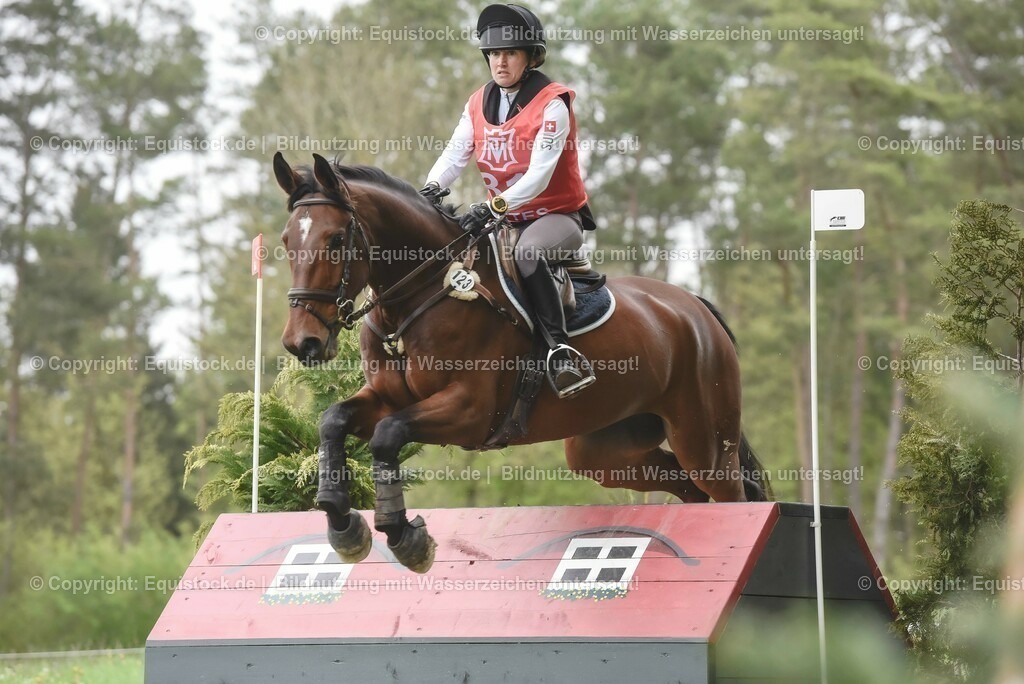20230513_CCI2_Section1_0330 | equistock