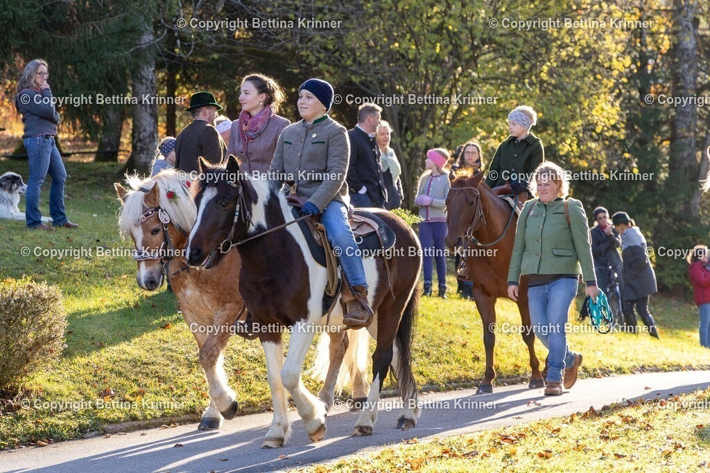 LL24-215 | foto-bettina-krinner - Realisiert mit Pictrs.com