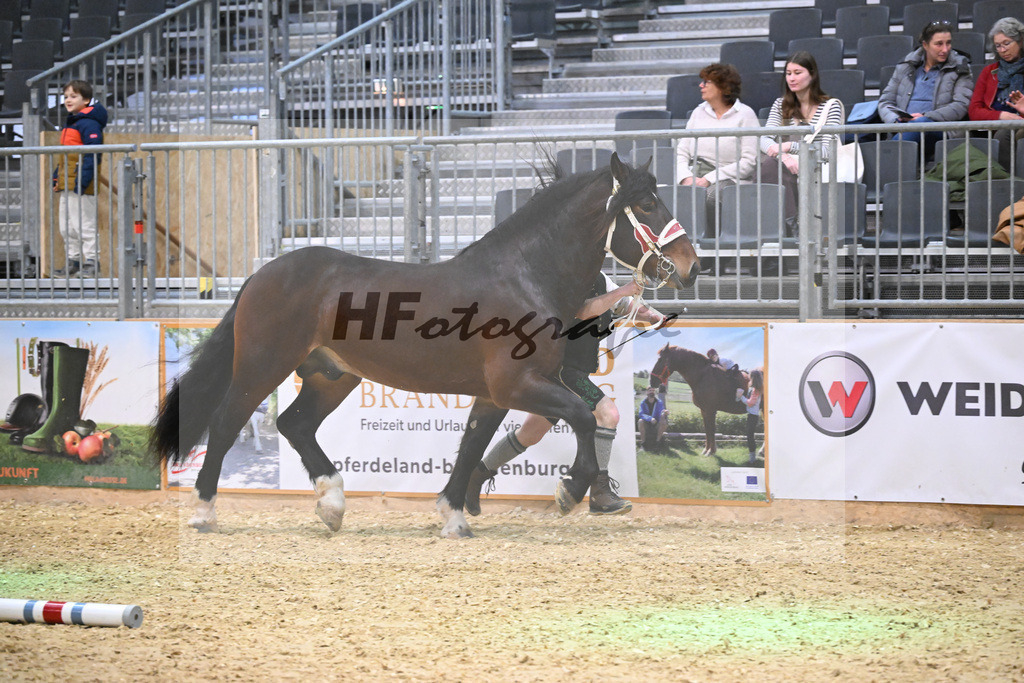 Kat-Nr. 9 Rubino III W v. Rivero_Fritzmeier_1260166 | hf-fotografie - Realisiert mit Pictrs.com