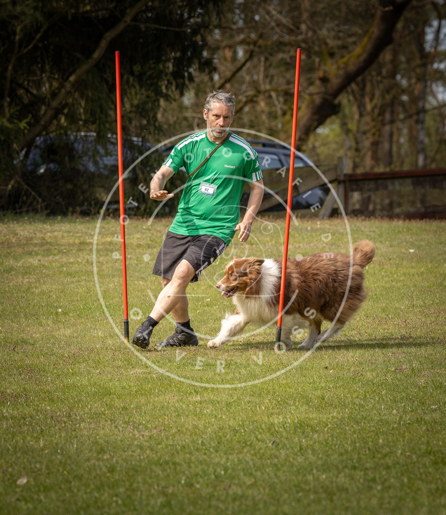 Pfotenfotografie_DV3A7695 | Hundefotografie, Tierfotograf, Pfotenfotografie, Fotoshooting Hund, Hunde Portrait, Hundesport, Hundeportraits, Heideshooting, Hunde, Sportfotograf, Hundefotograf, Turnierhundsport, THS,  - Realisiert mit Pictrs.com