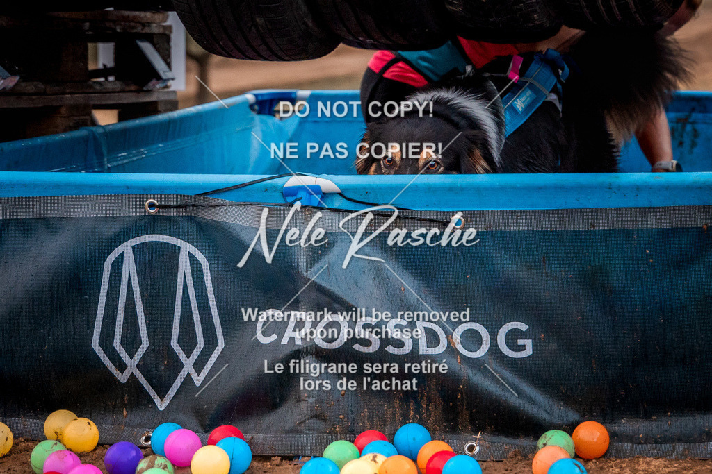 nelerasche_SummerNights26-Sa2000-2100_182 | nelerasche