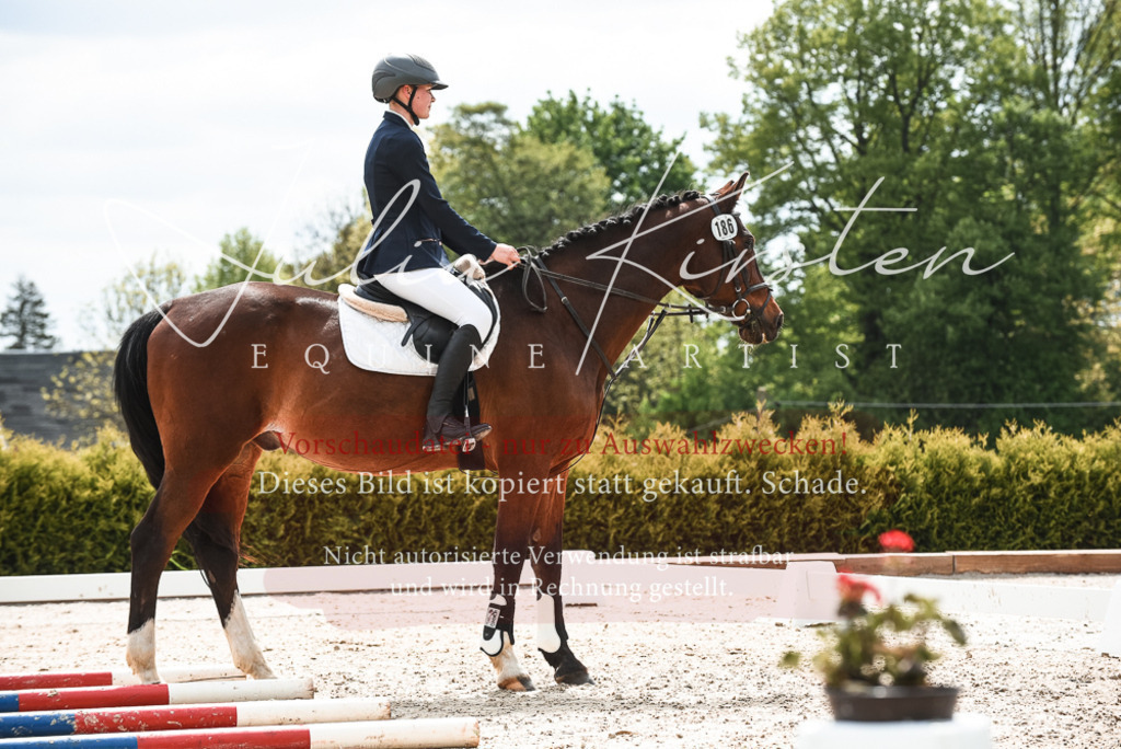 20230518_JK-Röhrsdorf-10-100 | Pferde- und Turnierfotografie in Westsachsen. Pferdeportraits, Auftragszeichnungen und intuitive Kunst.