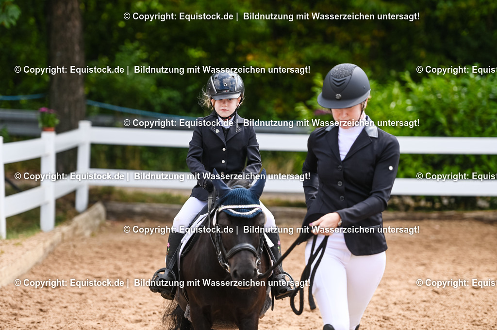 20230716_11_Führzügel-WB_0091 | equistock