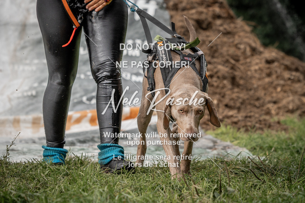 nelerasche_Wingst_Sa1300-1330_99 | nelerasche