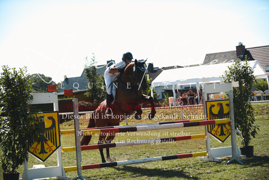 DSC_7254 | Pferde- und Turnierfotografie in Westsachsen. Pferdeportraits, Auftragszeichnungen und intuitive Kunst.