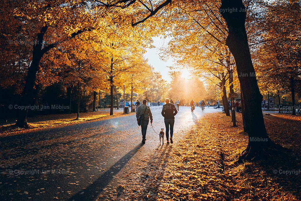 _DSC6983 | Leipzig Wandbilder Drucke Prints Leinwand Stadtmotive Leipzig Fotosdruck Kunstdrucke Bilder Leipzig Stadtansichten Acrylglasbilder Leipzig Wanddeko Fine Art Prints Wandbilder Büro Leipzig Bilder Praxis Zuhause Bilderdruck Poster Posterlounge Kunstdrucke - Realisiert mit Pictrs.com