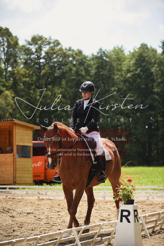 DSC_1147 | Pferde- und Turnierfotografie in Westsachsen. Pferdeportraits, Auftragszeichnungen und intuitive Kunst.