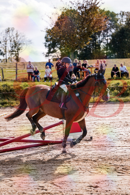2026_10_03_Siefer-Hof_143754_Z81_07042781 | Professionelle Reitsport-, Turnier- und Eventfotografie von Robert Broda. Galerien mit ausgewählten und bearbeiteten Bildern direkt online ansehen und bestellen.