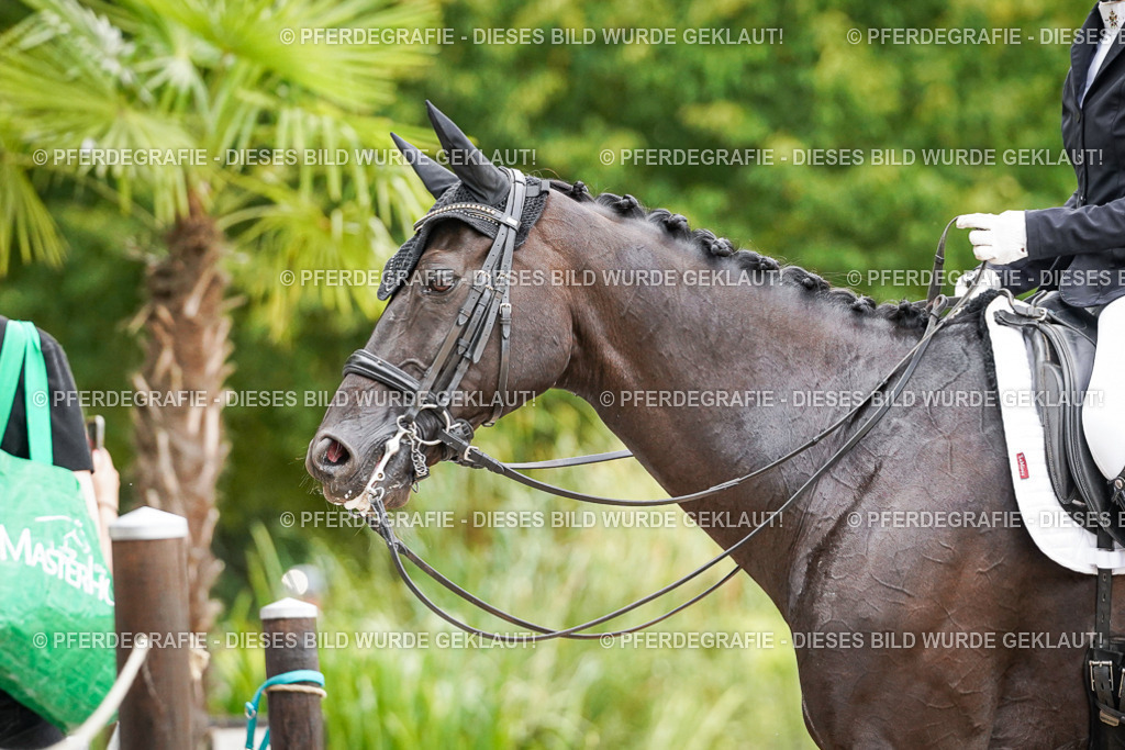 DSC06919 | Pferdegrafie