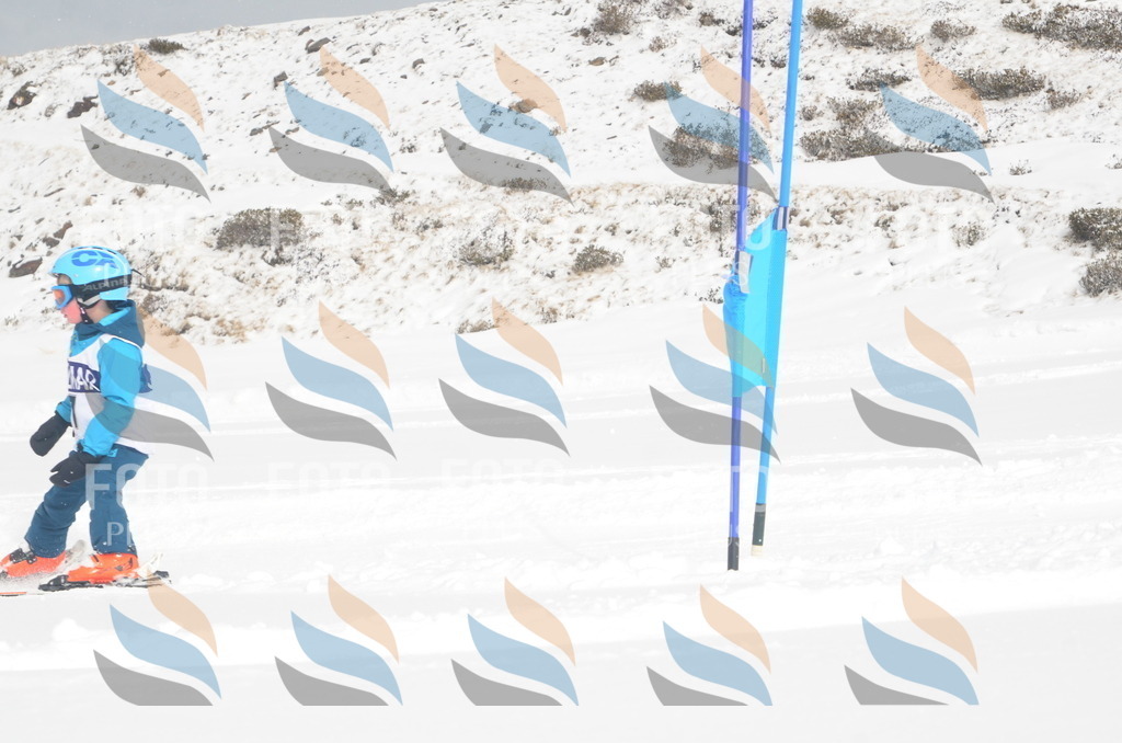 A5043 | holidayphoto