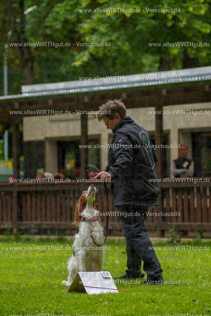 @allesWIRTHgut_Tierfotografie - www.allesWIRTHgut.de - 131600-7R509979 | Professionelle Tierfotografie in Mönchengladbach von Daniel Wirth (allesWIRTHgut). Liebevolle & natürliche Bilder von Hunden & Katzen für unvergessliche Erinnerungen.