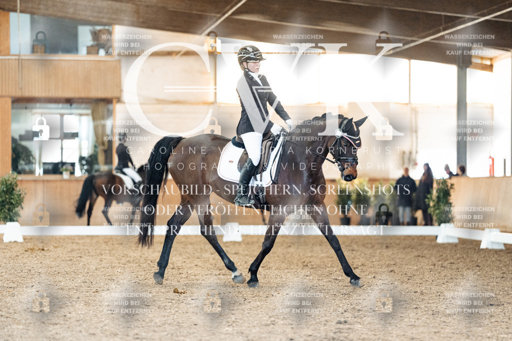 CK907973 | Turnierfotografie Pferdefotografie Trier Rheinland-Pfalz Pferdesport Reitsport Tierfotografie Sportfotografie Pferdevideo Pferdevideografie Equestrianvideography equestrianphotography  - Realisiert mit Pictrs.com