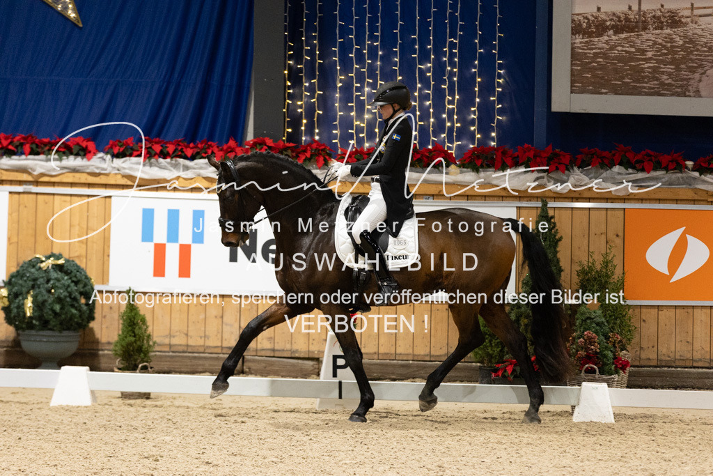 126A0262 | jasminmetznerfotografie