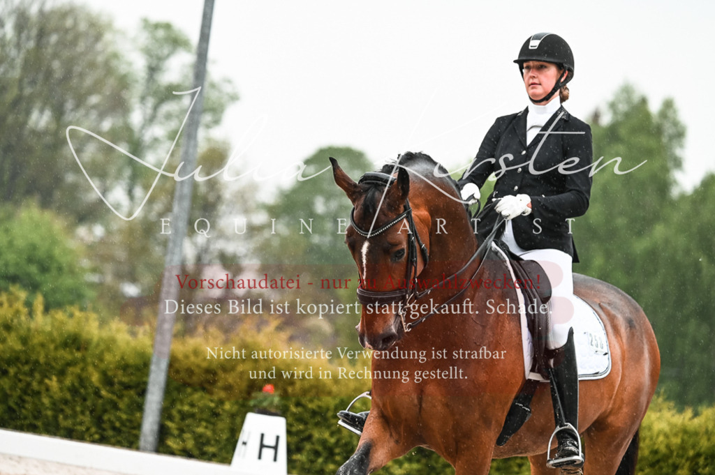 DSC_4577 | Pferde- und Turnierfotografie in Westsachsen. Pferdeportraits, Auftragszeichnungen und intuitive Kunst.