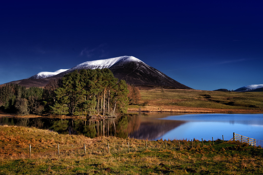 Loch Moraig | Eine weite schottische Winterlandschaft zeigt einen ruhigen See, umrahmt von Nadelbäumen, vor einer Kulisse schneebedeckter Berge. Der tiefblaue Himmel spiegelt sich klar im Wasser, während goldenes Gras im Vordergrund die Komposition erdet. Die Szene vermittelt eine Atmosphäre von Ruhe und unberührter Natur. - Realisiert mit Pictrs.com