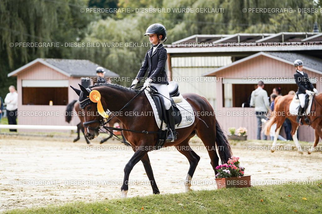 DSC05792 | Pferdegrafie