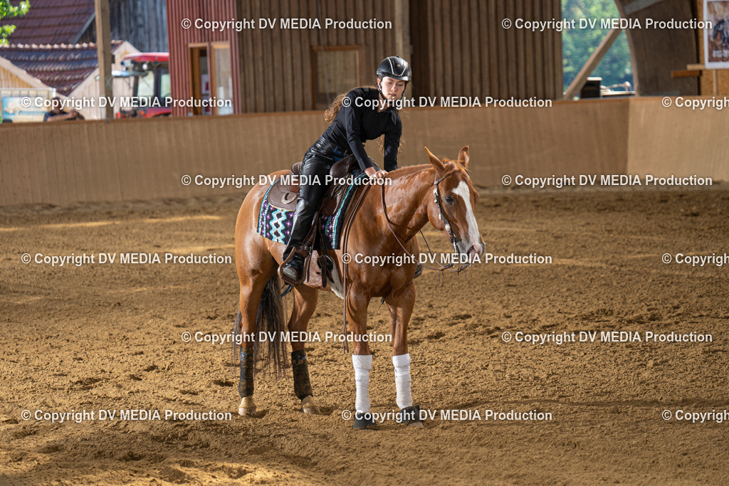 DSC00034 | dv-media-shop - Realisiert mit Pictrs.com