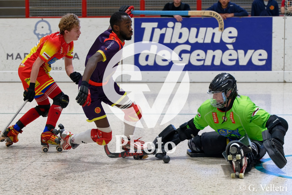 DSC_6483 | Velletri Photo