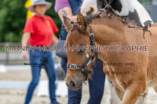 0P2A3176 | mandyhollmannphotographie