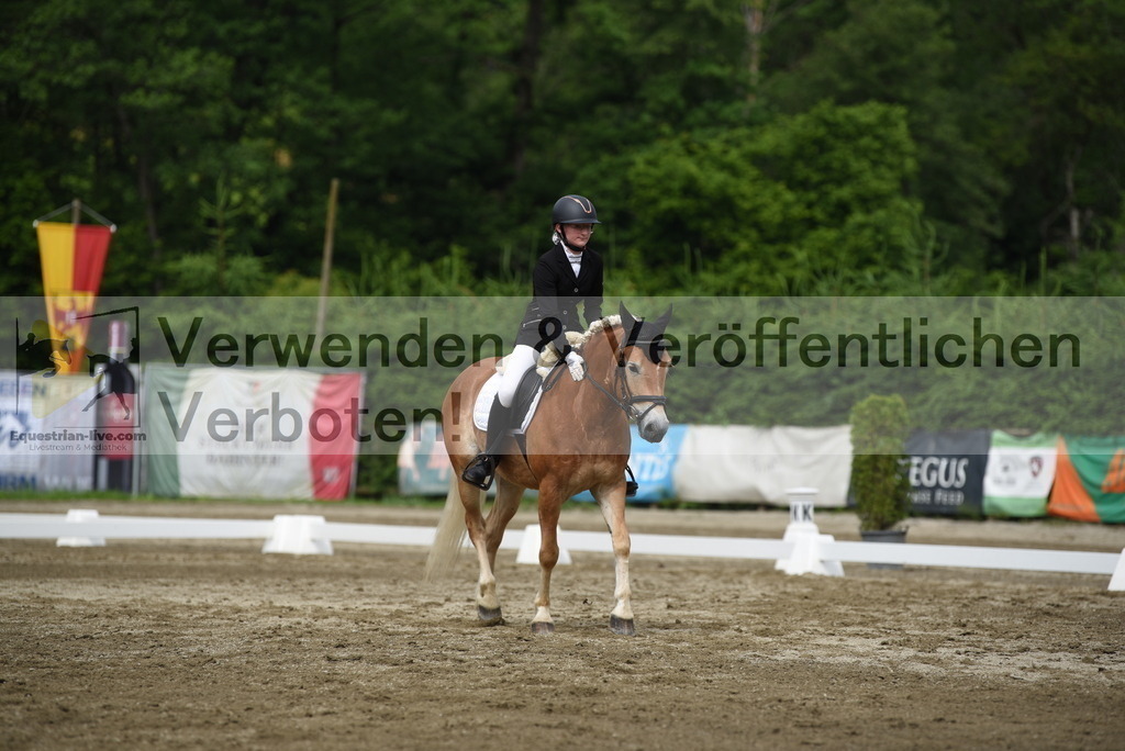 DSC_8234 | equestrian-live-com