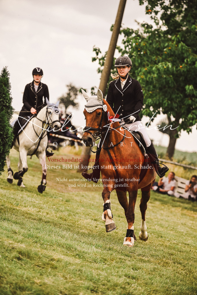DSC_7006 | Pferde- und Turnierfotografie in Westsachsen. Pferdeportraits, Auftragszeichnungen und intuitive Kunst.