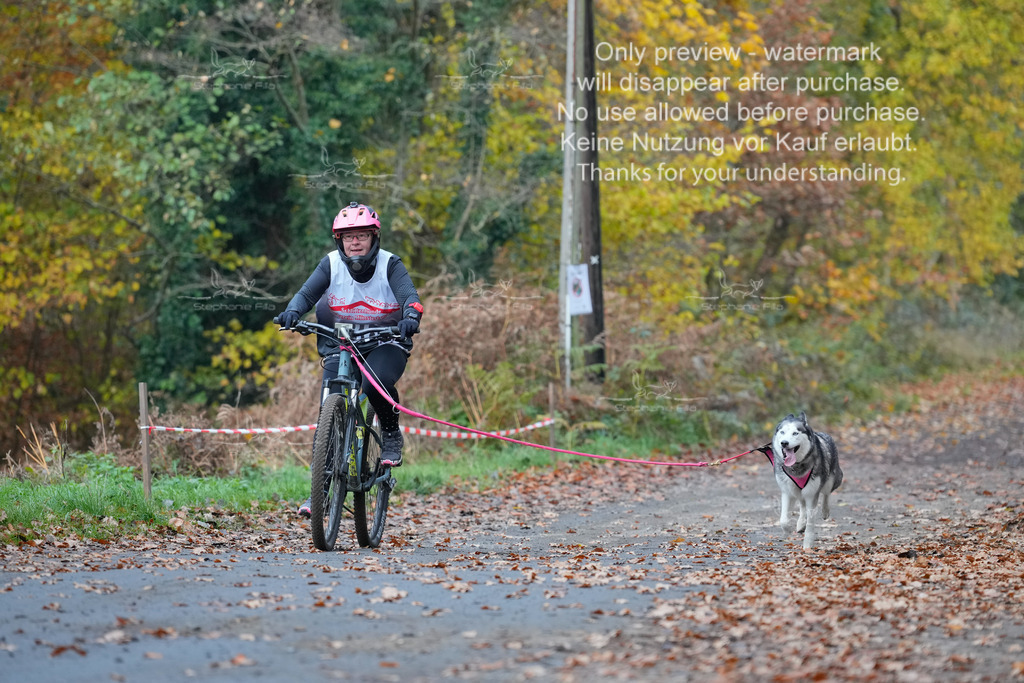 Bike_So-211 | stephaniefillaphotographie - Realisiert mit Pictrs.com
