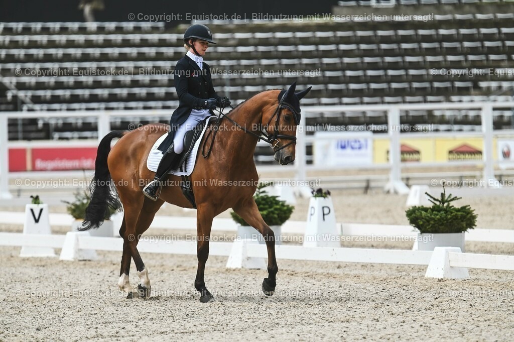 20230512_CCI4_Dressur_0238 | equistock