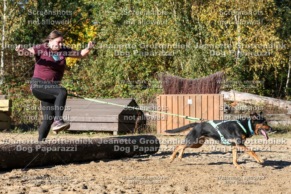 Dog Paparazzi - Strongdog 10-25-1899 | Dog Paparazzi Jeanette Grottendiek Fotografie & Videografie - Realisiert mit Pictrs.com
