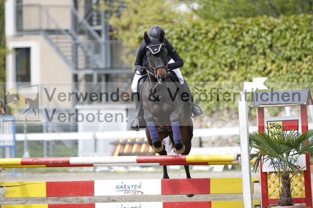 _MG_1625 | equestrian-live-com