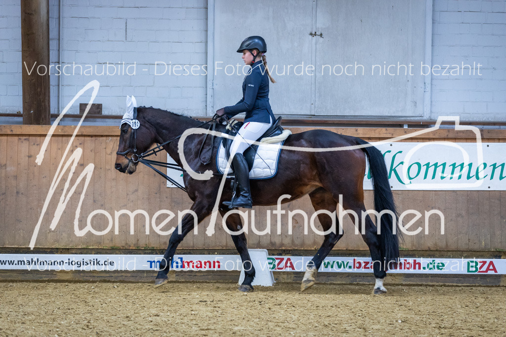 Sth-WBO25-RWBST-039 | MomenTaufnahmen Pferdesportfotos