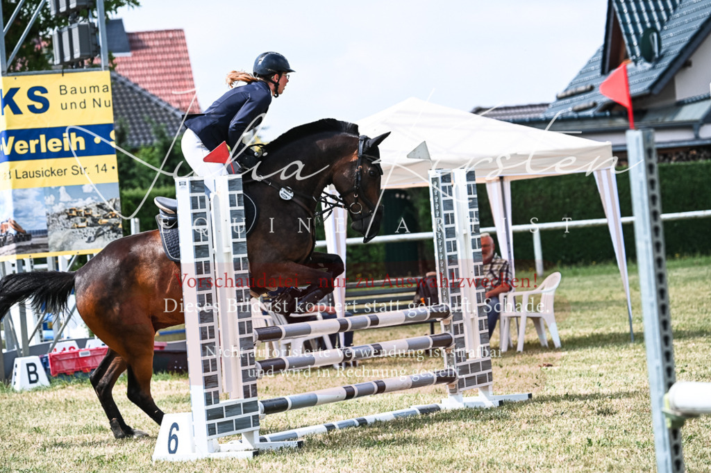 DSC_8872 | Pferde- und Turnierfotografie in Westsachsen. Pferdeportraits, Auftragszeichnungen und intuitive Kunst.