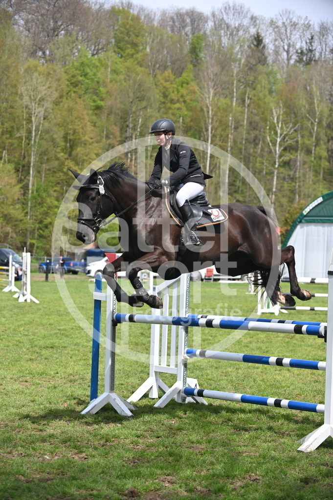 DSC_2433 | sattelsport - Realisiert mit Pictrs.com