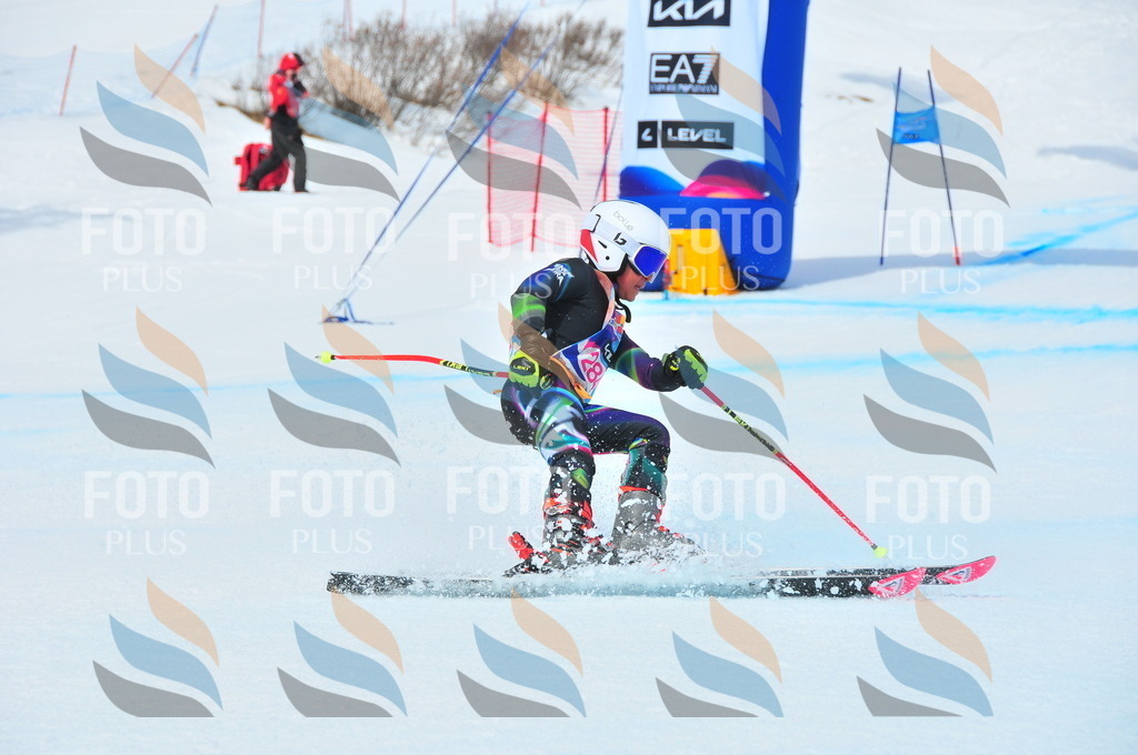 DSC_6397 | holidayphoto