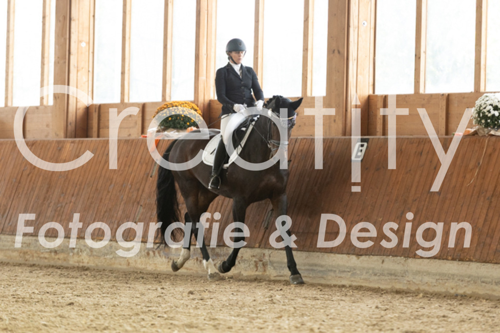 IMG_2685 | Creatify Fotografie