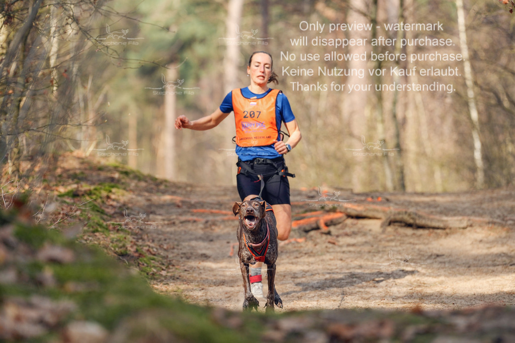 LangeCross_So-59 | stephaniefillaphotographie - Realisiert mit Pictrs.com