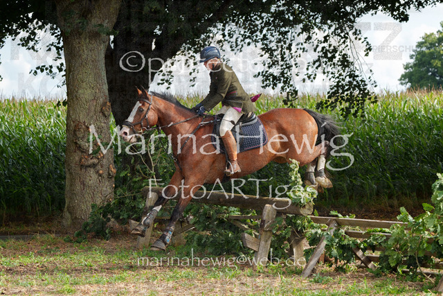Jagd Perdoel_MarinaHewigMCH04840 | Fotografie, FotoArt, PferdesportArt, Pferdesportfotografie, Landschaftsfotografie, Reisefotografie, Reise, Pferde - Realisiert mit Pictrs.com