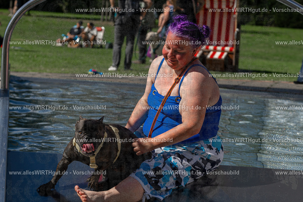 Hundeschwimmen_Volksbad_2026-allesWIRTHgut_Tierfotografie-2609061312-FAY06690 | Professionelle Tierfotografie in Mönchengladbach von Daniel Wirth (allesWIRTHgut). Liebevolle & natürliche Bilder von Hunden & Katzen für unvergessliche Erinnerungen.
