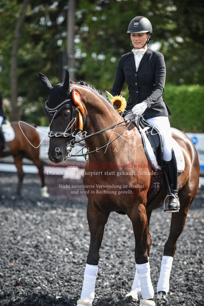 DSC_5132 | Pferde- und Turnierfotografie in Westsachsen. Pferdeportraits, Auftragszeichnungen und intuitive Kunst.