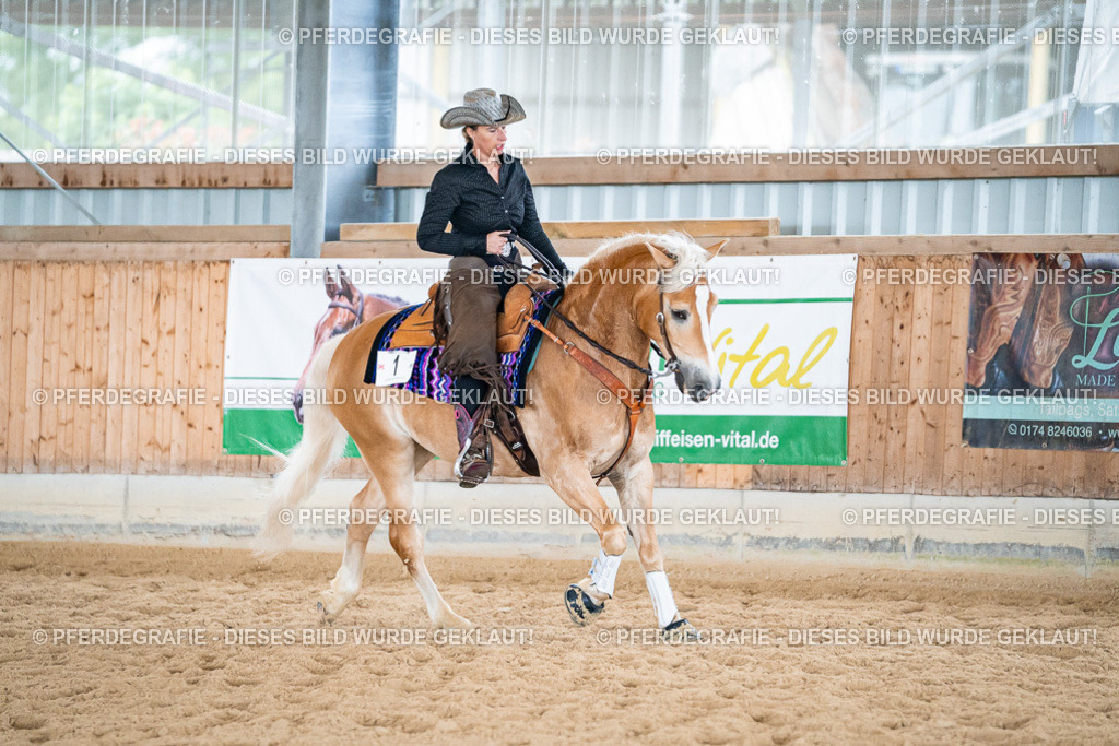 DSC07484 | Pferdegrafie